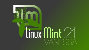 Read more about the article Linux a régi Windows helyett?